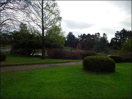 queenspark 014